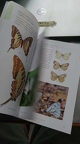 Amazon.in: Buy Butterflies of India Book Online at Low Prices in
